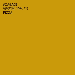 #CA9A0B - Pizza Color Image