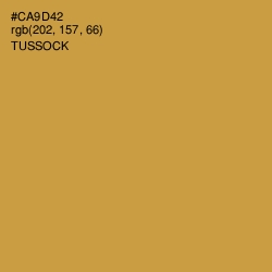 #CA9D42 - Tussock Color Image