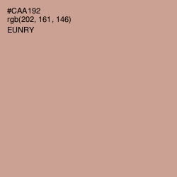 #CAA192 - Eunry Color Image