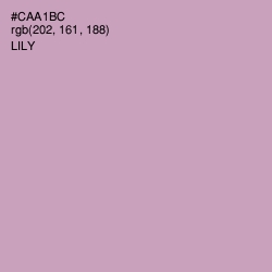 #CAA1BC - Lily Color Image