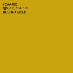 #CAA40C - Buddha Gold Color Image