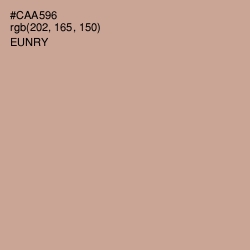 #CAA596 - Eunry Color Image