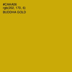 #CAAA06 - Buddha Gold Color Image