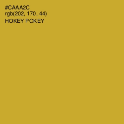 #CAAA2C - Hokey Pokey Color Image