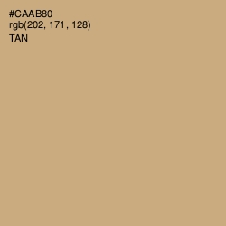 #CAAB80 - Tan Color Image