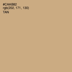 #CAAB82 - Tan Color Image