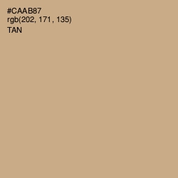 #CAAB87 - Tan Color Image