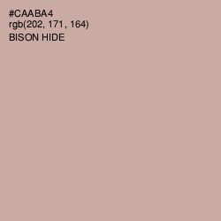 #CAABA4 - Bison Hide Color Image