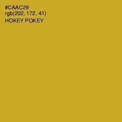 #CAAC29 - Hokey Pokey Color Image