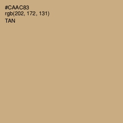 #CAAC83 - Tan Color Image