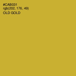 #CAB031 - Old Gold Color Image