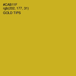 #CAB11F - Gold Tips Color Image