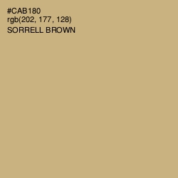 #CAB180 - Sorrell Brown Color Image