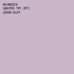 #CAB5C9 - Gray Suit Color Image