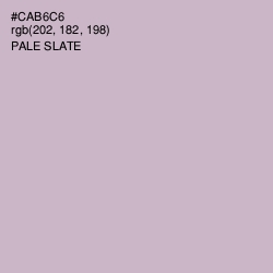 #CAB6C6 - Pale Slate Color Image