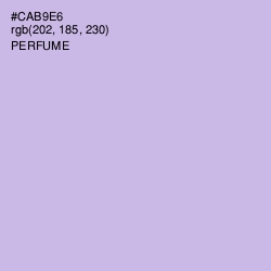 #CAB9E6 - Perfume Color Image