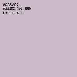 #CABAC7 - Pale Slate Color Image