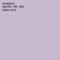 #CABACE - Gray Suit Color Image
