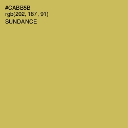 #CABB5B - Sundance Color Image