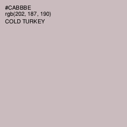 #CABBBE - Cold Turkey Color Image