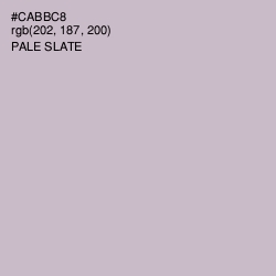 #CABBC8 - Pale Slate Color Image