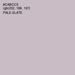 #CABCC5 - Pale Slate Color Image