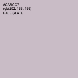 #CABCC7 - Pale Slate Color Image