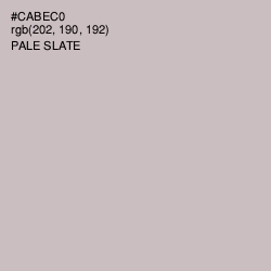 #CABEC0 - Pale Slate Color Image