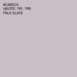 #CABEC6 - Pale Slate Color Image