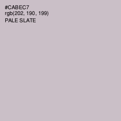 #CABEC7 - Pale Slate Color Image