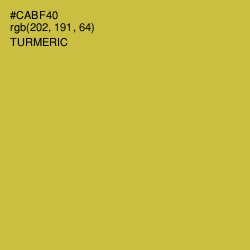 #CABF40 - Turmeric Color Image