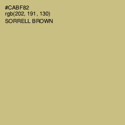 #CABF82 - Sorrell Brown Color Image