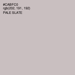 #CABFC0 - Pale Slate Color Image