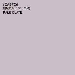 #CABFC6 - Pale Slate Color Image