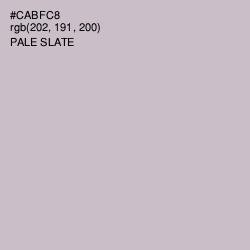 #CABFC8 - Pale Slate Color Image