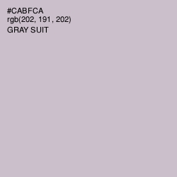#CABFCA - Gray Suit Color Image