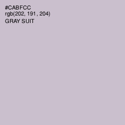 #CABFCC - Gray Suit Color Image