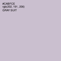 #CABFCE - Gray Suit Color Image