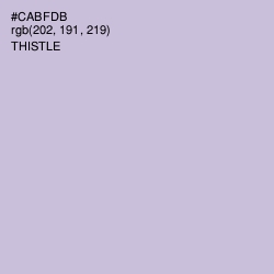 #CABFDB - Thistle Color Image