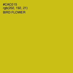 #CAC015 - Bird Flower Color Image