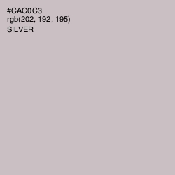 #CAC0C3 - Silver Color Image