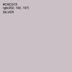 #CAC0C5 - Silver Color Image