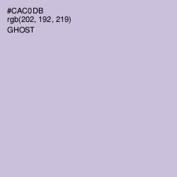 #CAC0DB - Ghost Color Image