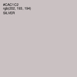 #CAC1C2 - Silver Color Image