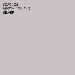 #CAC1C3 - Silver Color Image