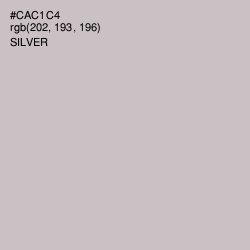 #CAC1C4 - Silver Color Image