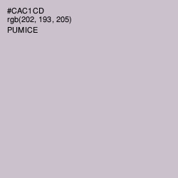 #CAC1CD - Pumice Color Image