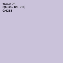 #CAC1DA - Ghost Color Image