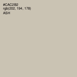 #CAC2B2 - Ash Color Image