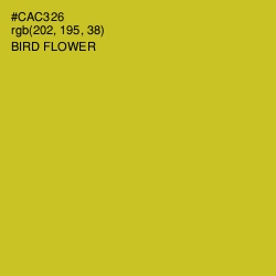 #CAC326 - Bird Flower Color Image